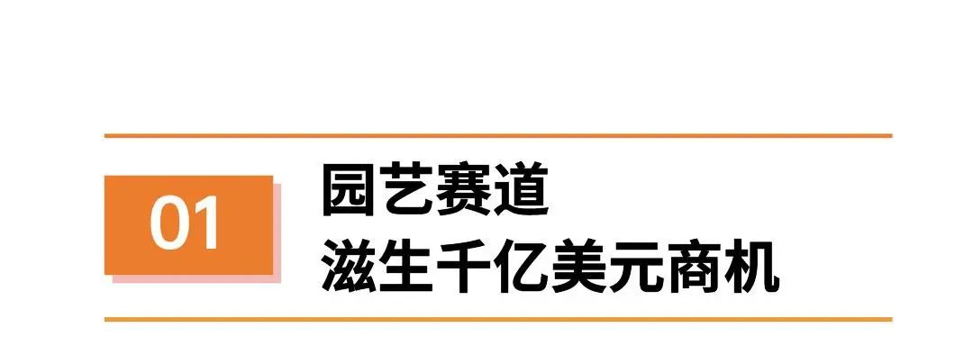 小类目大需求，老外就爱摆弄庭院花园，增长千亿美元市场！