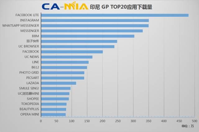 camia2.jpg