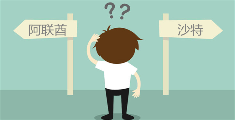 中国跨境电商入驻中东电商平台，首选阿联酋还是沙特？