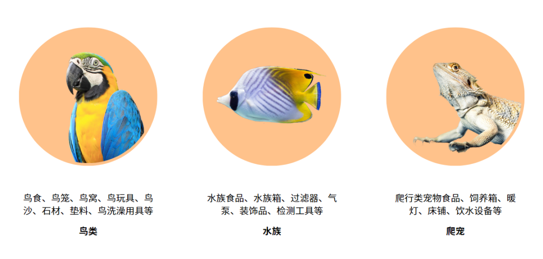 「它经济」出海战况升级,新入场玩家如何后来居上?